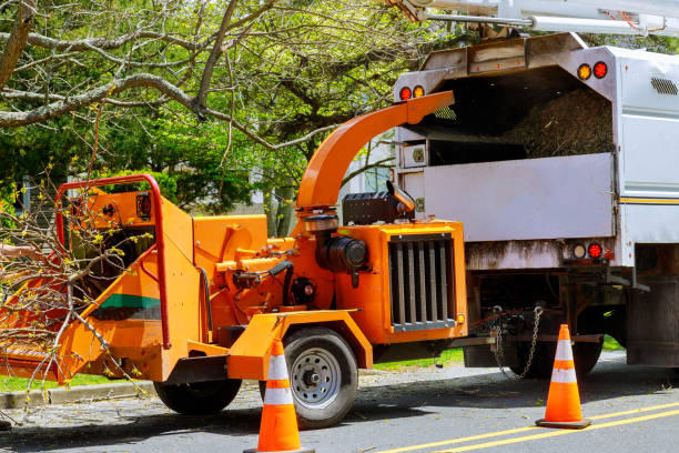 Best Aeration Services  in Tennessee Ridge, TN